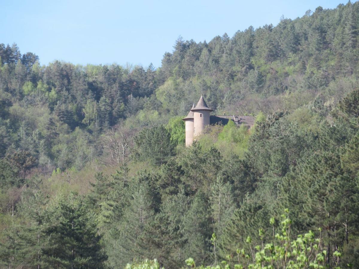 Chez Veronique Chamborigaud Bagian luar foto
